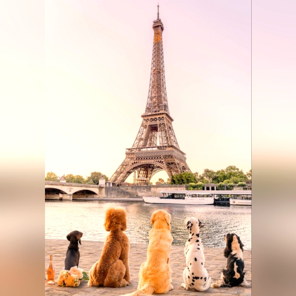 Meet your Posher, Lilit